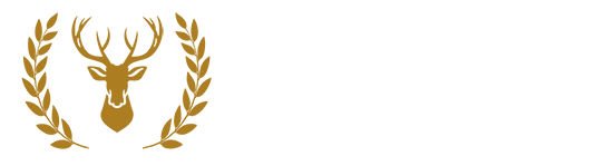 Buckhead Party Bus